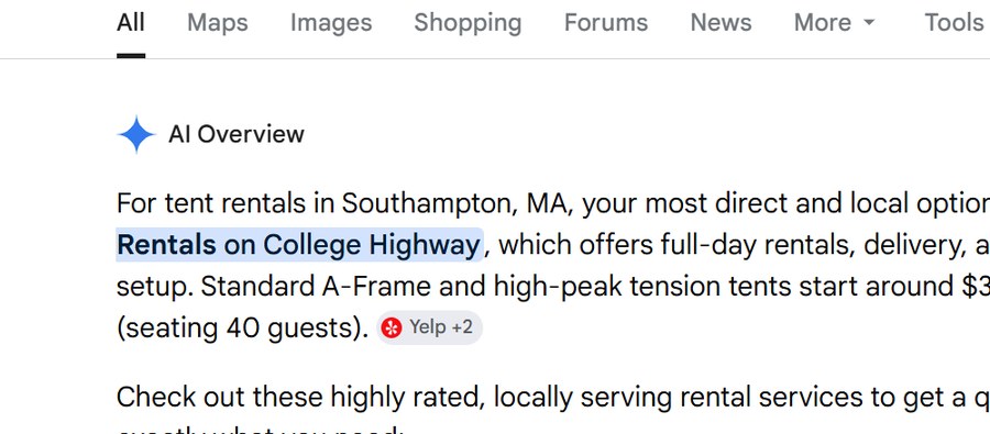 Google AI Overview naming our rental business