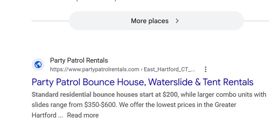 Google organic results showing our rental business at position one